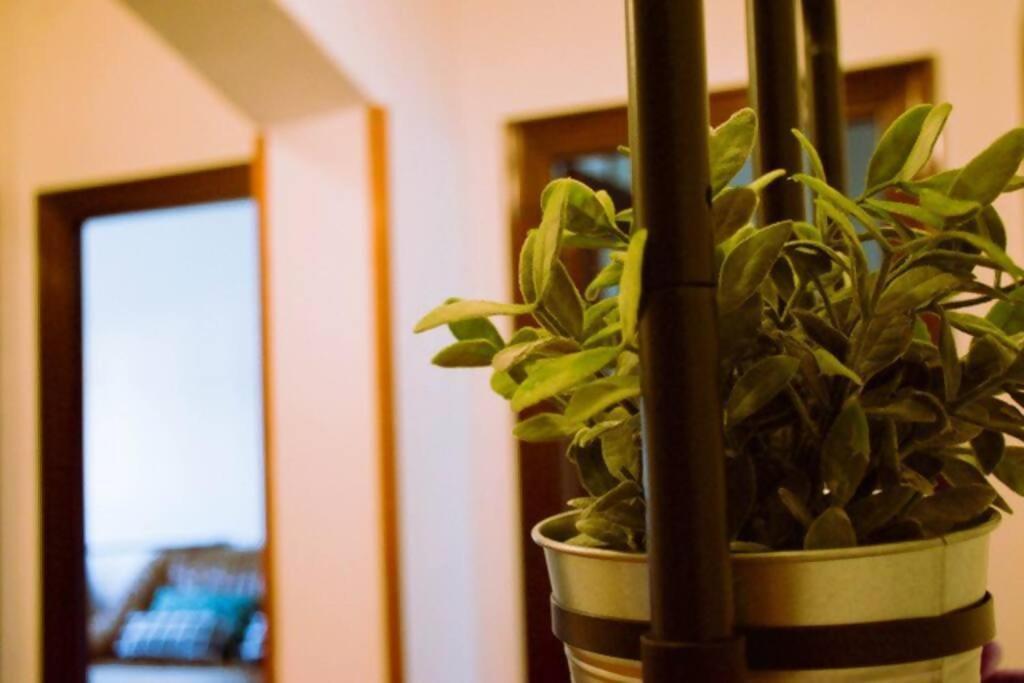 Conide, El Mirador Apartman Oviedo Szoba fotó